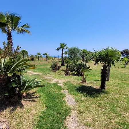 2 Avec Piscine Et Acces Direct A La * Poggio Mezzana
